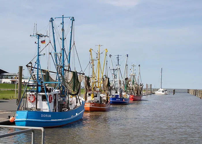 Westertill 14 דורום נויפלד